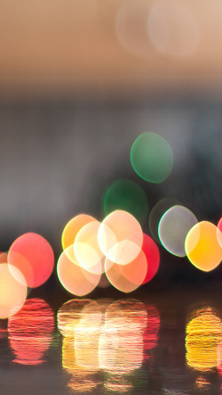 ���ƌ��̎B�e