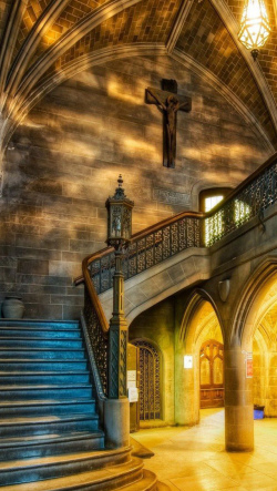 �����I�����ʐ^